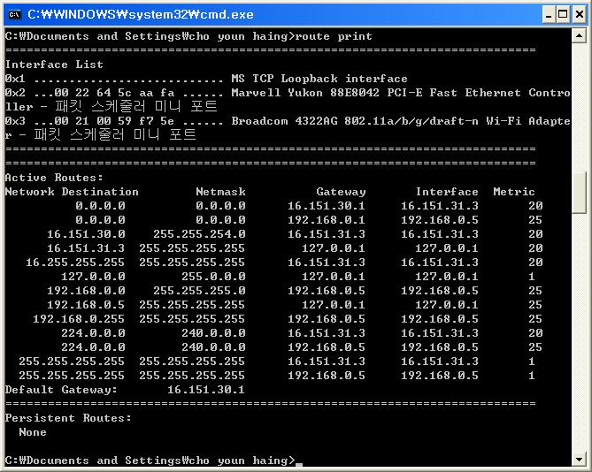 사용자 삽입 이미지