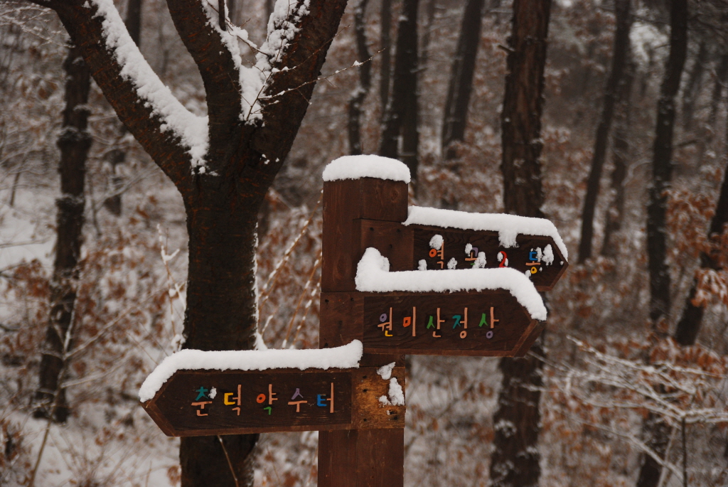 사용자 삽입 이미지